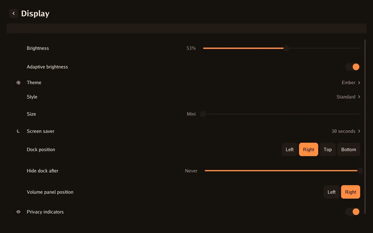Display settings: Brightness, theme, style, size, dock and screen-saver controls.