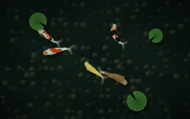 The Koi Pond visual